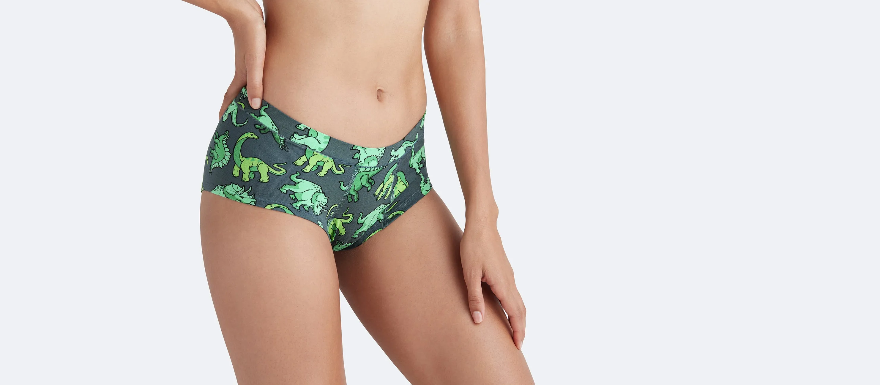 FeelFree Cheeky Brief | Dinos